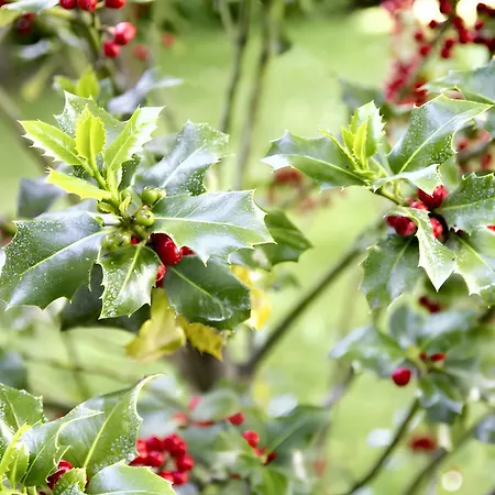 Spacious House In Nyaraló *
