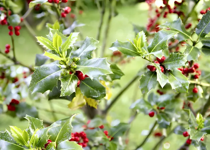 Spacious House In 펜션 *